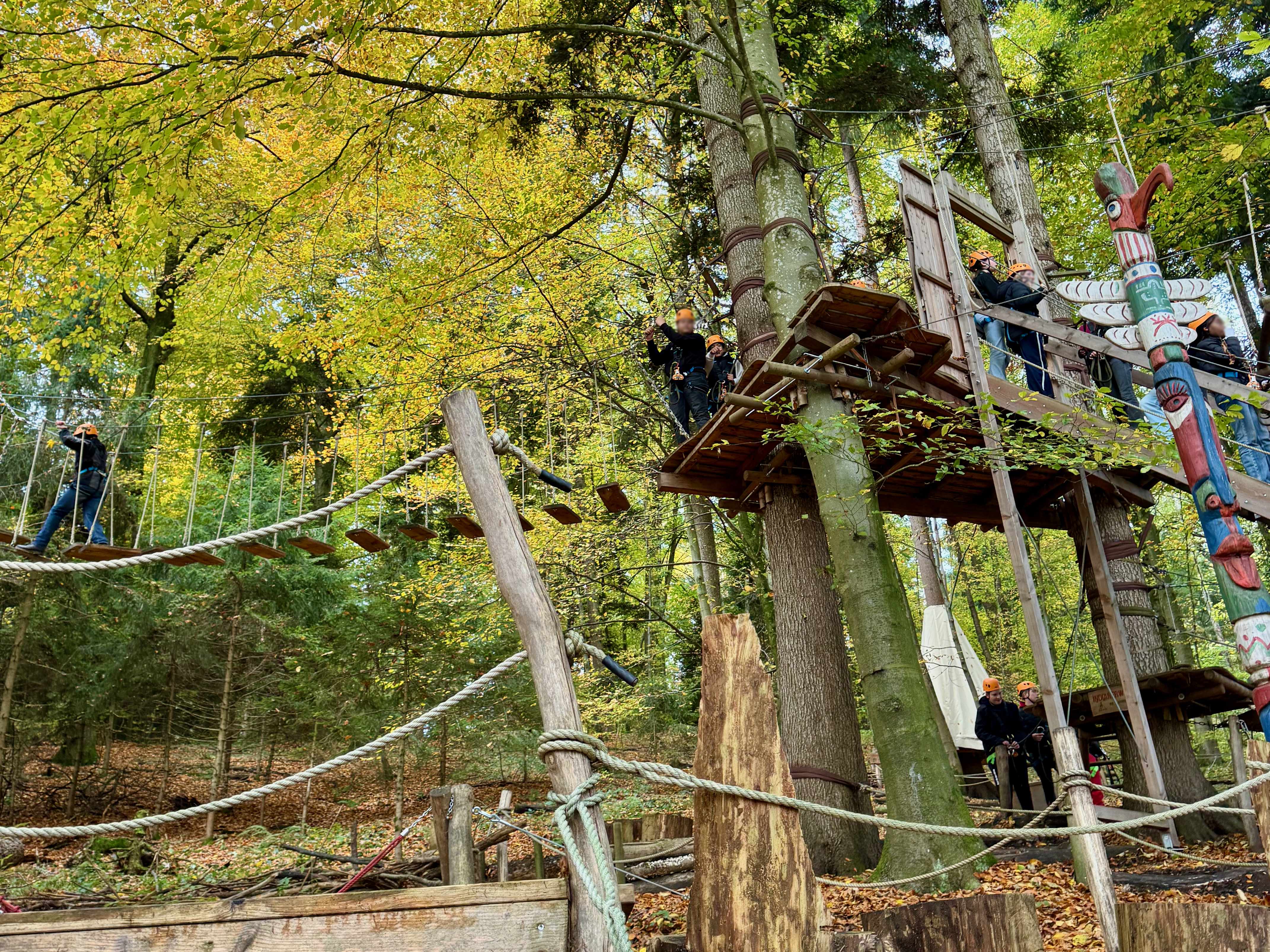Ausflug der Klassen 8a und 8bM in den Kletterwald Prien